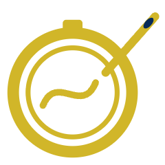 Custom embroidery icon